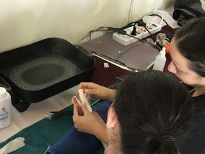 Simply Splinting Workshop April 2023
